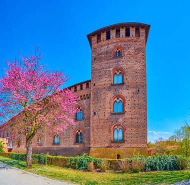 Medieval Visconti Castle and blooming Cornus Florida trees in its park, Pavia, Italy