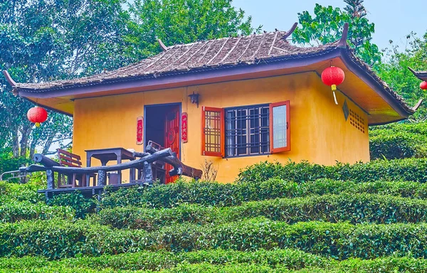 The facade of the small beautiful traditional Chinese house with red lanterns and sweeping roof, surrounded with tea shrubs, Ban Rak Thai Yunnan tea village, Thailand
