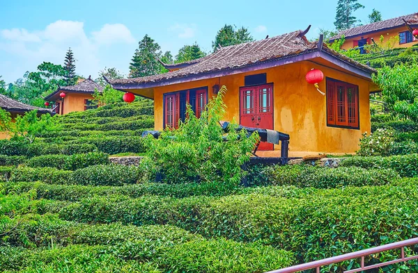 Small Chinese Houses Traditional Sweeping Roofs Red Lanterns Shrubs Tea — Foto de Stock