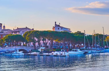 The tall spread pines along the bank of Lake Garda with yachts in port, Desenzano del Garda, Lombardy, Italy