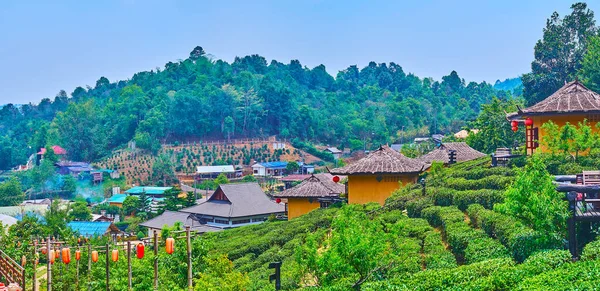 Panorama Terraced Tea Plantation Chinese Houses Hill Ban Rak Thai — Foto de Stock