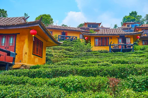 The tourist resort on tea plantation with traditional Chinese houses, Ban Rak Thai Yunnan tea village, Thailand