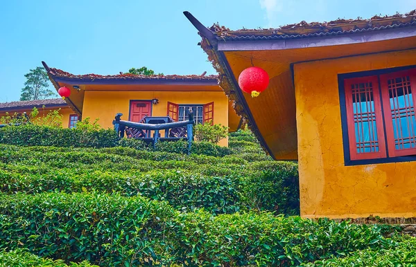 Vintage Adobe Chinese Houses Surrounded Lush Green Tea Bushes Ban — Foto de Stock
