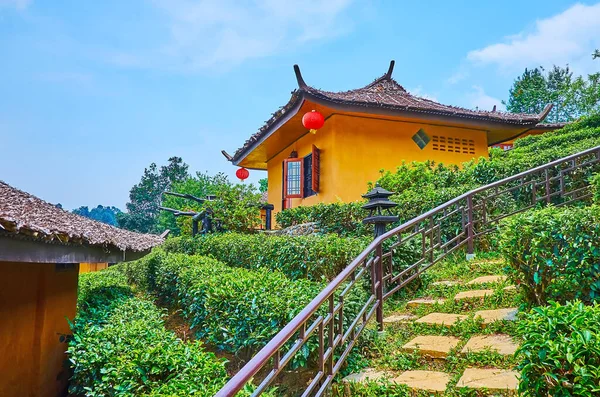 The stairs amid the tea shrubs and small Chinese style houses with red lanterns, Ban Rak Thai Yunnan tea village, Thailand