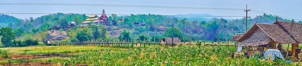 Panorama Green Fields Vintage Tong Pae Bamboo Bridge Surrounded Hills — Stok fotoğraf