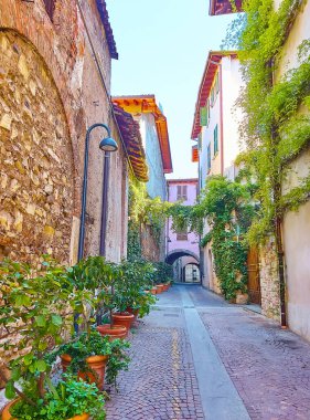The narrow Via Elia Capriolo street with historic houses, lush green plants in pots and grapevines on the houses walls, Brescia, Italy