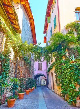 The narrow cozy Via Elia Capriolo street, decorated with lush grapevines on the houses and plants in pots along the alley, Brescia, Italy