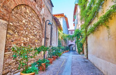 The stone houses and the line of green plants in pots on the Via Elia Capriolo street, Brescia, Italy