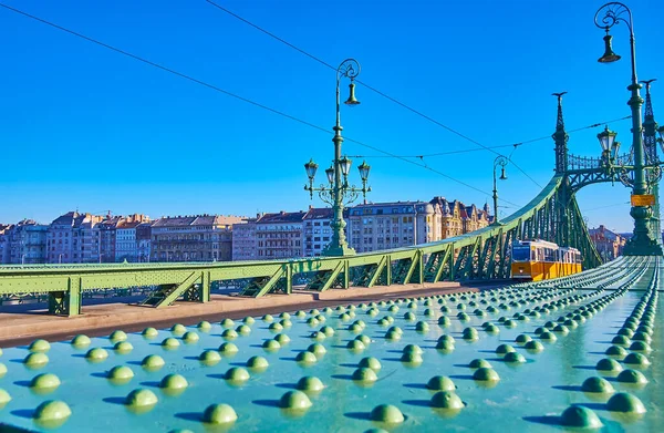 Talrijke Klinknagels Groene Metalen Steun Van Vintage Liberty Bridge Met — Stockfoto