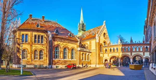 Panorama Słonecznej Alejki Przed Zabytkowym Budynkiem Biblioteki Uniwersytetu Technicznego Ekonomicznego — Zdjęcie stockowe