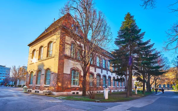 Буйний Парк Статуї Історичні Будівлі Університету Технології Економіки Будапешт Угорщина — стокове фото