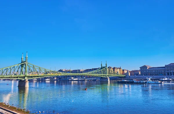 Исторический Зеленый Мост Через Дунай Видом Корвинский Университет Противоположном Берегу — стоковое фото