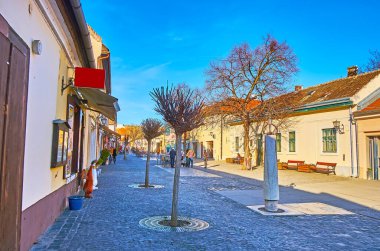 Müzelere, sanat galerilerine, hediyelik eşya dükkanlarına, Szentendre 'ye, Macaristan' a ait tarihi evlere sahip eski kasaba merkezindeki yaya Dumtsa Jeno Caddesi.