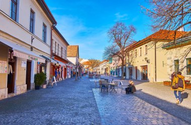 SZENTENDRE, HUNGARY - 24 Şubat 2022: Dumtsa Jeno Caddesi 'ndeki restoranları, turist dükkanları ve sanat galerileri olan vintage evler, Szentendre' de 24 Şubat