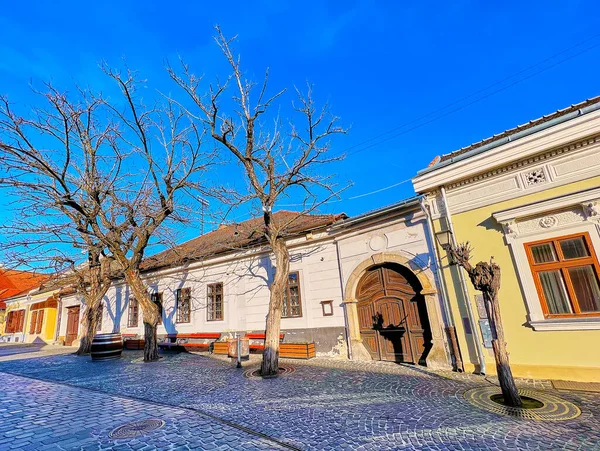 Oude Huizen Hoge Bomen Verspreid Dumtsa Jeno Street Szentendre Hongarije — Stockfoto