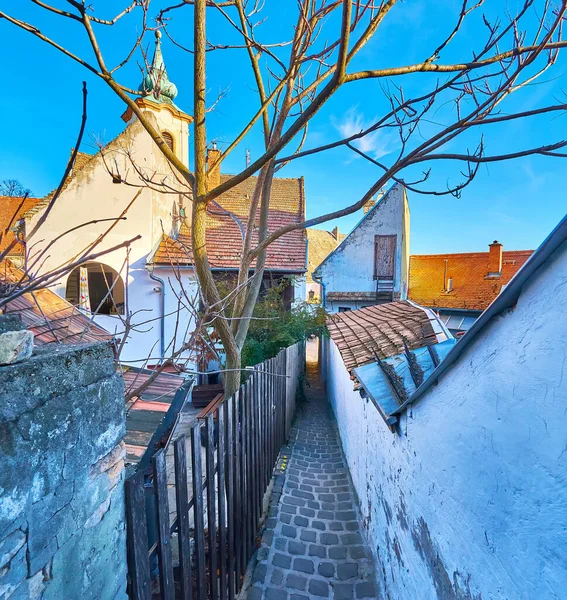 Promenera Längs Den Smala Gränden Mellan Gamla Husen Szentendre Ungern — Stockfoto