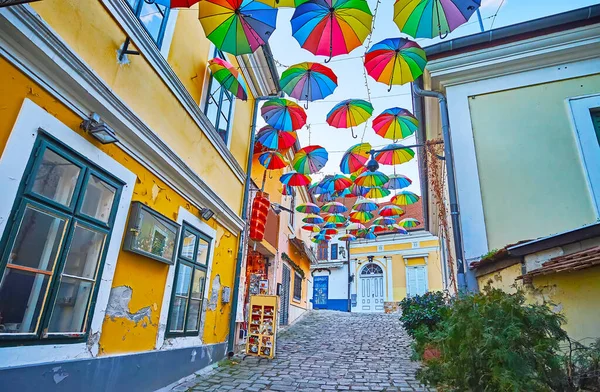 Narrow Tourist Street Old Town Decorated Rainbow Umbrellas Szentendre Hungary — Stock Photo, Image