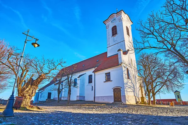 Medieval Whitewashed Clocktower John Baptist Church Castle Hill Szentendre Hungary — Stock Photo, Image