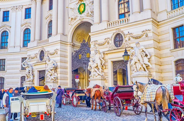 奥地利维也纳 2019年2月17日 2月17日 在奥地利维也纳霍夫堡宫的米哈雷斯特兰特排队等候的维也纳旅游车 — 图库照片