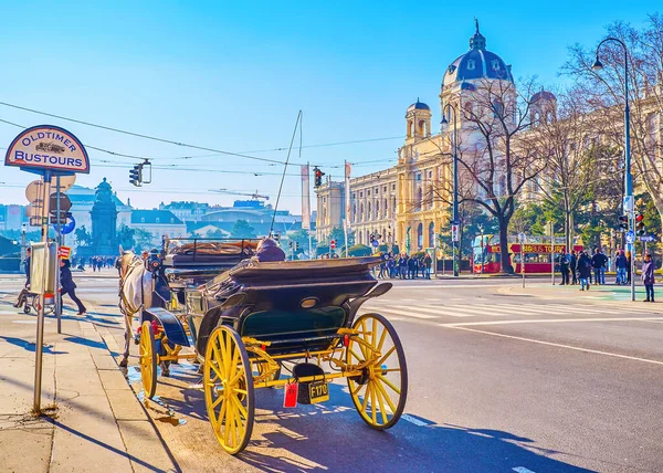 Wiedeń Austria Luty 2019 Turystyczny Przewóz Konny Jest Jednym Najprzyjemniejszych — Zdjęcie stockowe
