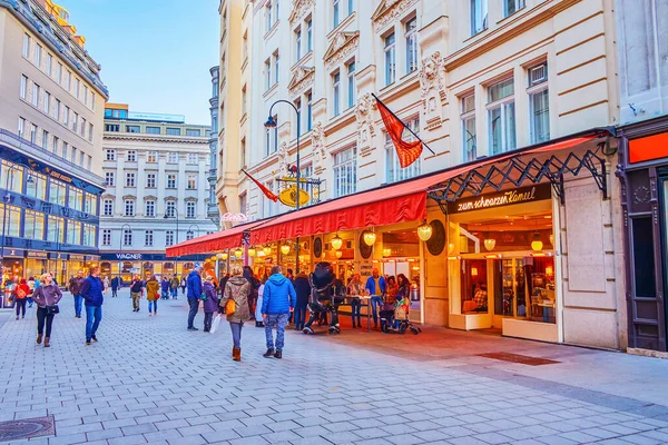 Vienna Austria Şubat 2019 Şubat Avusturya Nın Viyana Kentinde Birçok — Stok fotoğraf