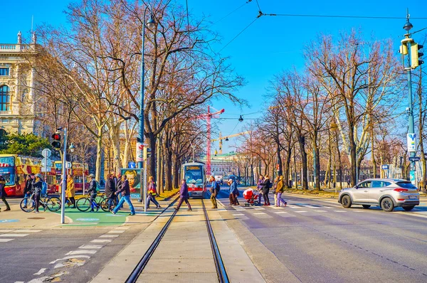 Wien Österreich Februar 2019 Fußgänger Überqueren Die Ringstraße Februar Wien — Stockfoto