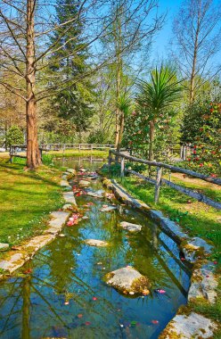 Locarno 'daki gölgeli Kamelya Parkı' nın tadını çıkarın. Uzun ağaçlar, çiçek açan kamelya çalıları ve İsviçre 'nin çimlerin ortasındaki dar dereler.