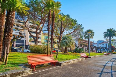 Maggiore Gölü kıyısındaki güneşli sokakta kırmızı ahşap banklar, yeşil çimenler, yüksek palmiye ağaçları, Locarno, İsviçre