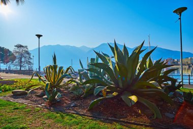 Lepontine Alpleri, Maggiore Gölü, Locarno, İsviçre 'deki Lepontine Parkı' nın kıyısına yayıldı.