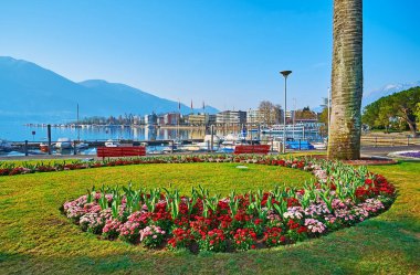Göl kenarındaki yeşil çimenli park, kırmızı ve pembe papatyalardan oluşan süslü çiçek yatakları ve sisli Alpler, Maggiore Gölü, Locarno, İsviçre