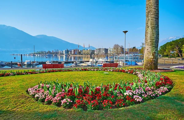 Het Park Aan Het Meer Met Groen Gazon Sierbloemperken Van — Stockfoto