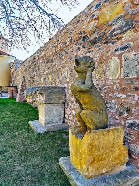圣巴多罗缪教区教堂的院落 在捷克共和国科林市的古老石墙上 雕刻着保存完好的石榴石雕塑 — 图库照片