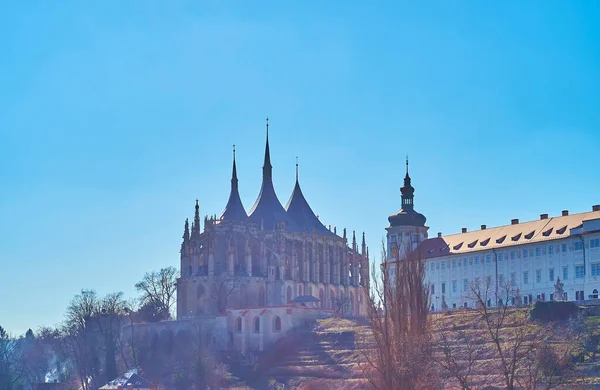 Szent Borbála Székesegyház Közép Cseh Galéria Domb Tetején Szőlővel Lejtőn — Stock Fotó