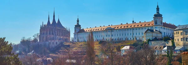 Kilátás Dombra Kutna Hora Szőlővel Lejtőn Közép Cseh Galéria Szent — Stock Fotó