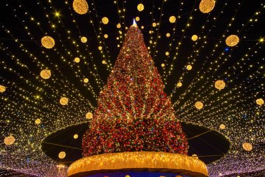 Aziz Sophia Meydanı, Ukrayna 'nın başkenti Kyiv' deki Noel ağacında parlak ışıklar ve renkli çelenklerle zengin bir şekilde süslenmiştir.