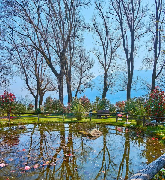 这个小池塘位于瑞士洛迦诺Maggiore湖畔的Camellia公园 — 图库照片