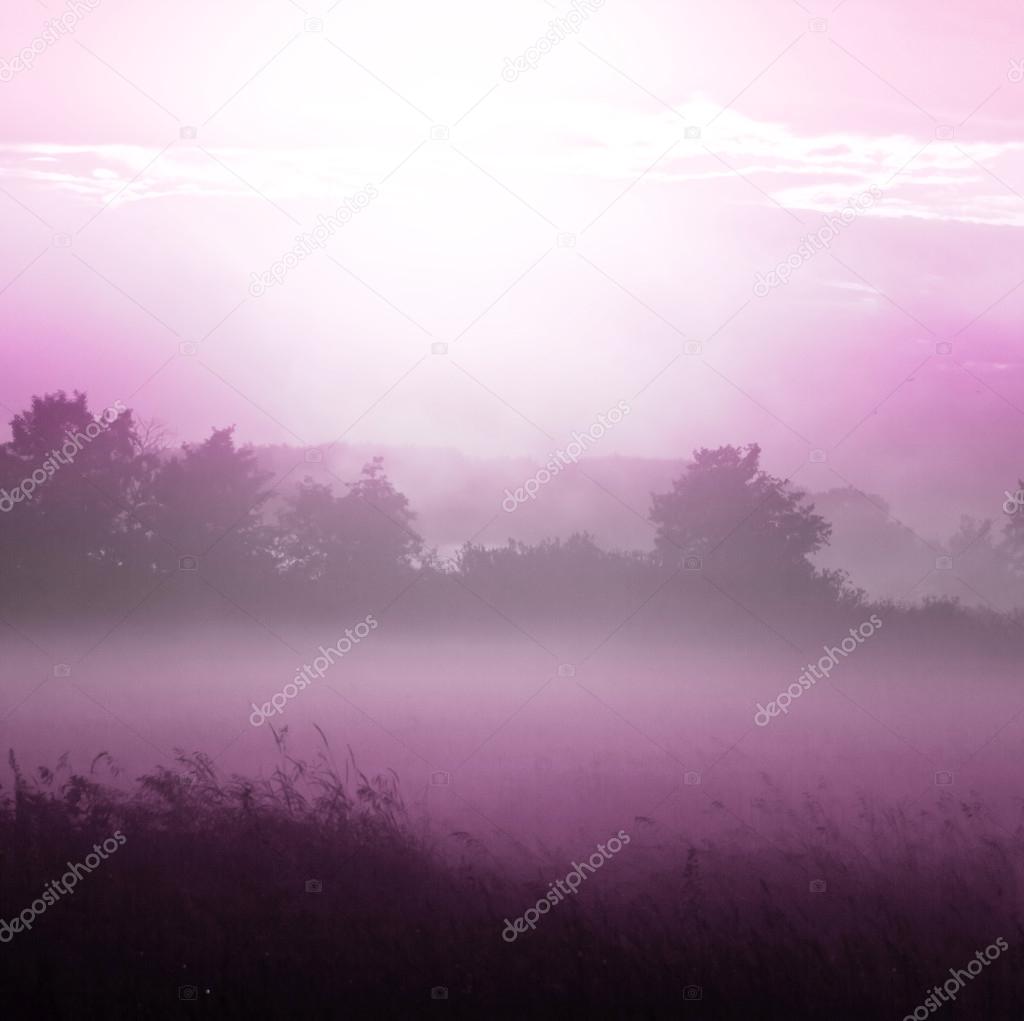 Lilac fog