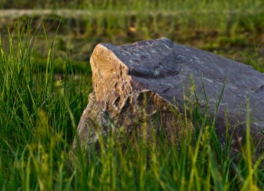 Huge stone in a green grass