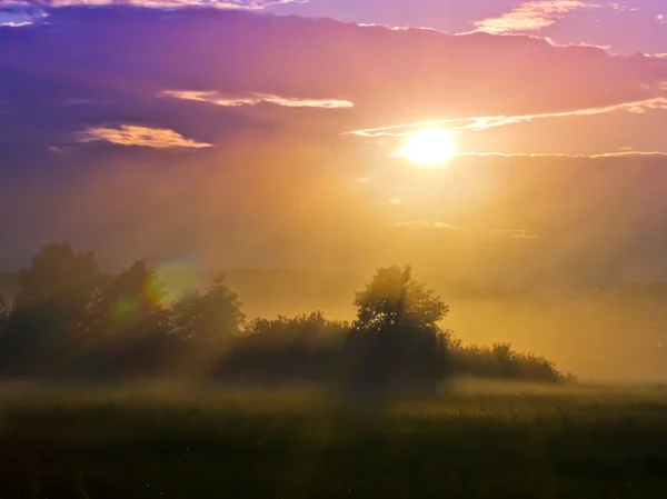 Mlha západ slunce — Stock fotografie