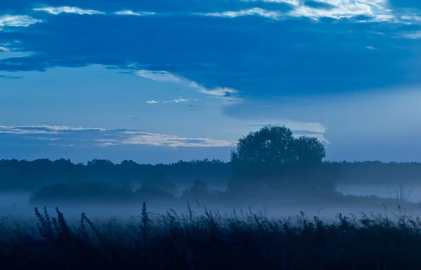 Avond in een mistige vallei — Stockfoto