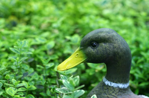 Садовая фигурка утки в зелени — стоковое фото