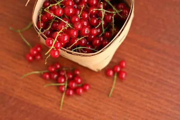 Red currant in a basket close up — Stock Photo, Image