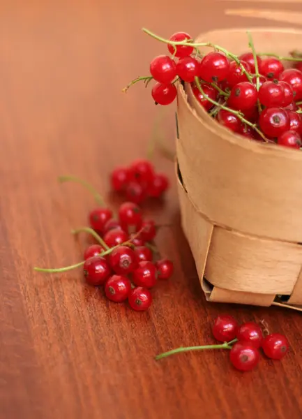 Ribes rosso in un cesto — Foto Stock