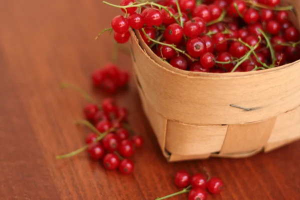 Macro red currant in a basket — Stock Photo, Image