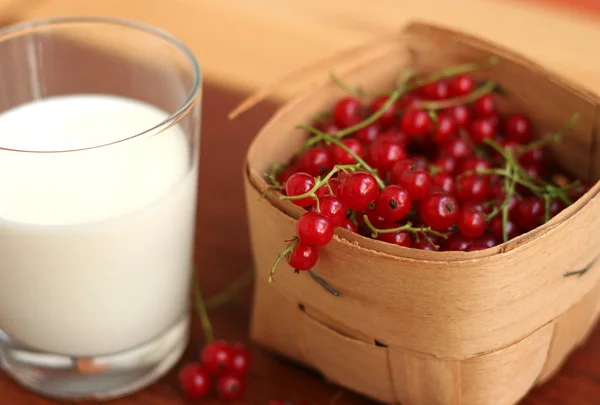 Red currant in a basket and milk — Stock Photo, Image