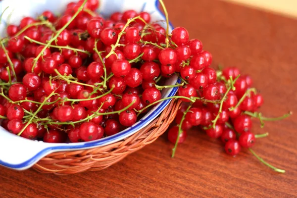 Red currant close up — Stock Photo, Image