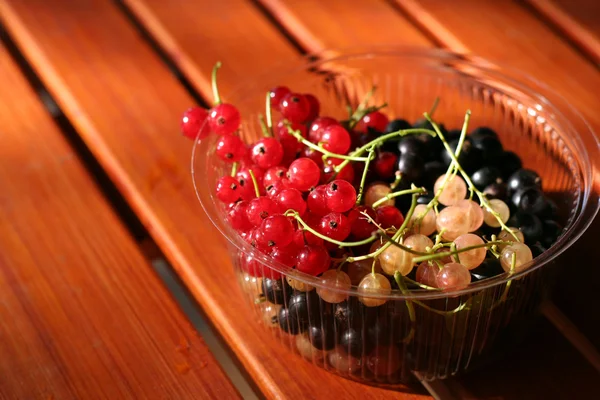 Currants berries - red white black — Stock Photo, Image