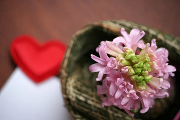 Lichte roze hyacint en een bericht van liefde — Stockfoto