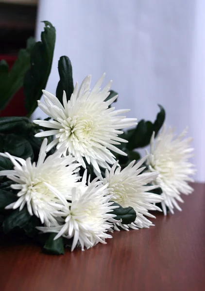 Ramo de flores blancas de crisantemos sobre mesa de madera —  Fotos de Stock