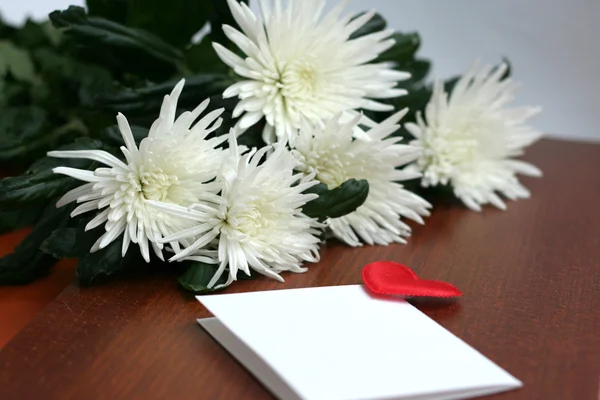 Fleurs blanches, bouquet de chrysanthèmes — Photo